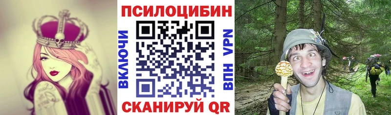 как найти   Новохопёрск  Галлюциногенные грибы прущие грибы 